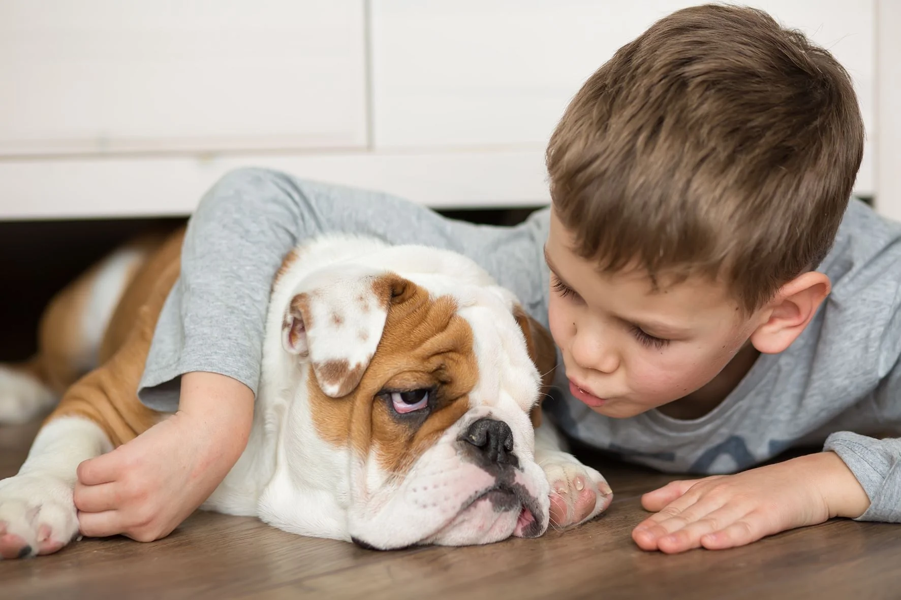 Boy and dog