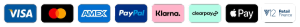 Footer payment